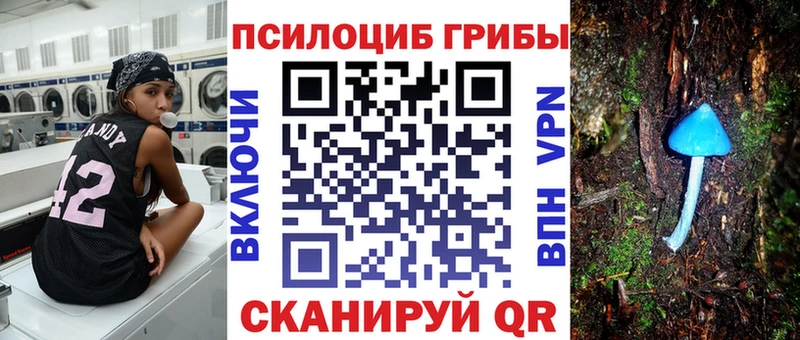 продажа наркотиков  Карпинск  Псилоцибиновые грибы мухоморы 
